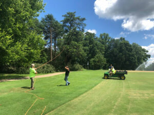 Tree Removal throughout Golf Course
