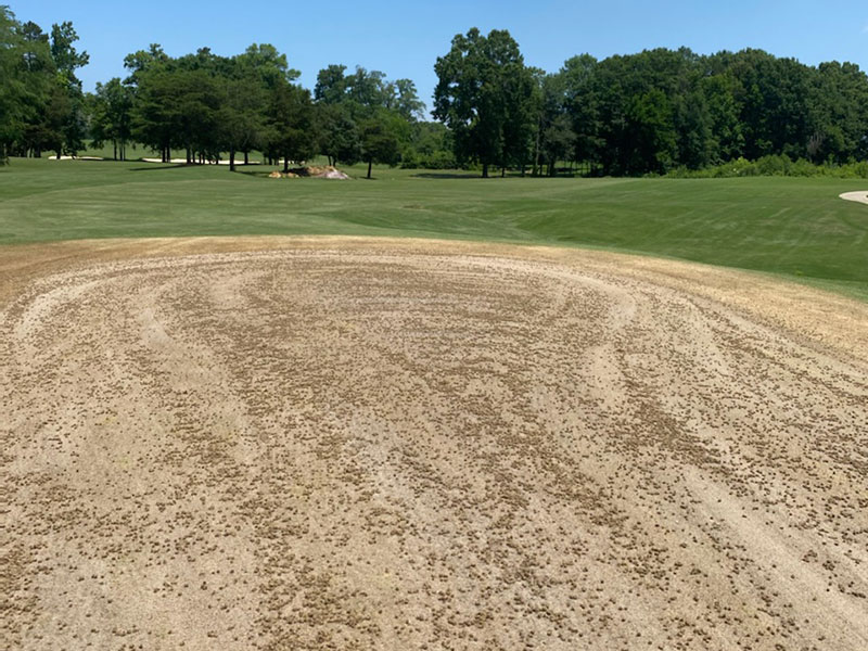 Completed Aerification Hole 1 Green