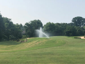 Watering New Green Hole #1